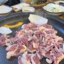왕십리 오리사냥 이미지