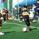 지수체육공원 이미지