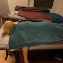 바디톡스 | 하노이 마사지샵 지디톡스 360 풋 바디 사우나까지 가능한 고급 마사지 후기