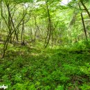 삼원농장 이미지