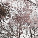 한터농장가든 이미지