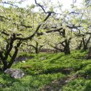 강학2리 이미지