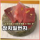 일번지 | 충주참치 연수동 참치일번지 코스요리 후기