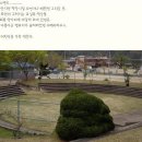 청안중학교 이미지