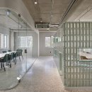 씨드haus