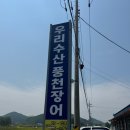 고창 여행, 청보리밭축제, 우리수산풍천장어, 백운26