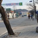 보룡(진목)