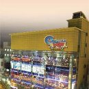 와우휘트니스 이미지