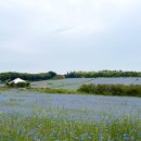 예산(당진) 이미지