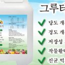 티엔글로벌 이미지