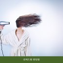 로이드밤용당점