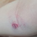 시원이비인후과의원 이미지