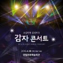 감자콘서트 이미지