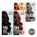 자연이랑 이미지