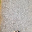 신정주유소 | 목동취미발레 다니는 워킹맘 후기, 나를 위한 운동 시작!