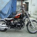 데이스타 이미지