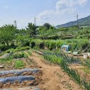 동구농장 이미지