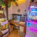 김해카인테리어 | 데이트 하기 좋은 김해 수족관카페 아쿠아카페 그라미 생생후기!