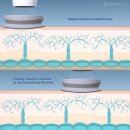 리프러리사랑의원 이미지