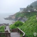 백수 이미지