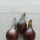 화톳불 - 속초시 | 화톳불