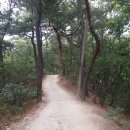 산책가는길 - 수성구 청수로 284 | 산책가는길
