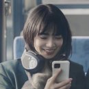 니들스 트랙팬츠 스트레이트 실착 후기