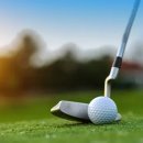 별스크린골프연습장 이미지