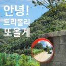 한우랑송이랑 | 트리몰리 애견펜션 C동 1박2일 숙박 후기!(내돈내산)