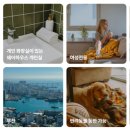엔코라인