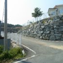 비야대정로 이미지