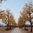 굴암리공중화장실 | 여주 강천섬 (나홀로 백패킹~