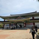 구림산책길 | 영암 왕인문화축제 방문 후기｜벚꽃길, 튤립존, 퍼레이드까지 완벽한 봄 축제