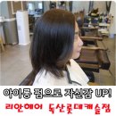 리안헤어캐슬