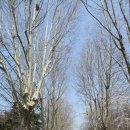 수원팔색길 효행길 이미지