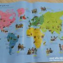 신정미디어