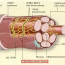 오투존 이미지