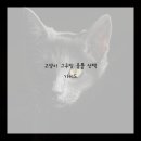 우리그루밍 이미지