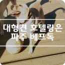 맘편하개 이미지