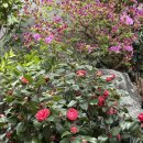 고요한 아침 이미지