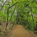 종합운동장역(개찰구 밖) 이미지