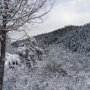 대성병원 이미지