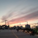 꿈벗도서관 1층 | 창원 지혜의 바다 가을소풍 꿈벗나비