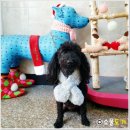 소울도기 이미지