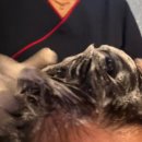 동방빌딩별관(관리실) | 남포동 두피관리실 "스마일피부탈모센터" 건성두피관리 후기