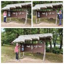 오산회 189회 춘천 남이섬, 가평 아침고요수목원(2022.9.26) 이미지