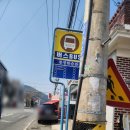 목련주유소 | [김해] 김해 목련숲