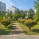 해솔부동산공인중개사사무소 이미지