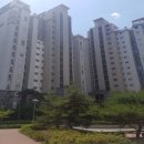 서구-01-17 이미지