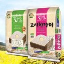 쌀이네 이미지